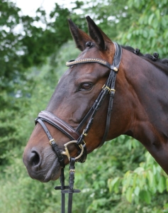 Ogłowie Krusemark Hans Melzer 