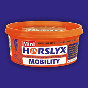 Lizawka Witaminowo-Mineralna Horslyx Mobility 650g mini