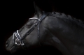 R-715-SD-Mystery-bridle1-1.jpg