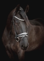 R-715-SD-Mystery-bridle2-1.jpg