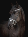 R-715-SD-Mystery-bridle-4.jpg