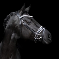 R-715-SD-Mystery-bridle19.jpg