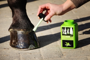 Parisol Olej do kopyt z pędzelkiem 500 ml