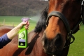1461-StarFinish500ml-AN-72dpi-jpg-MA1460-01.jpg