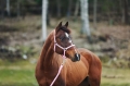 22284_LLPU-5.jpg