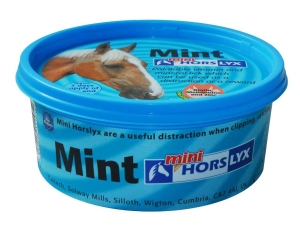 Lizawka Witaminowo-Mineralna Horslyx mini Mint 650g