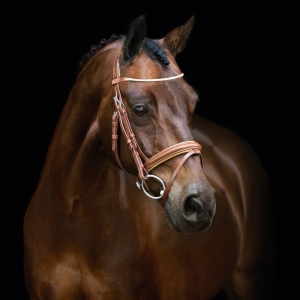 Ogłowie DELAWARE Schockemohle - vintage nougat