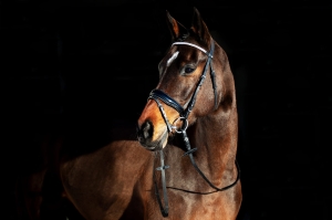 HORZE ROHAN Ogłowie nachrapnik szwedzki czarne podszycie