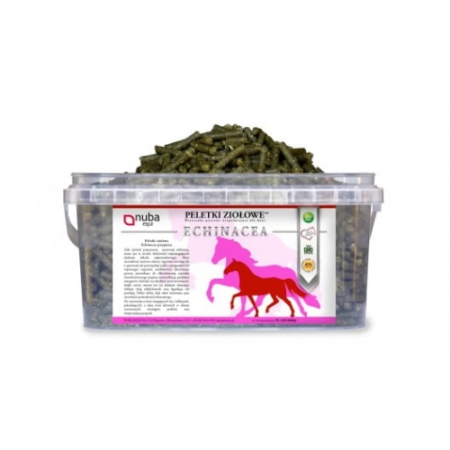 echinacea.jpg
