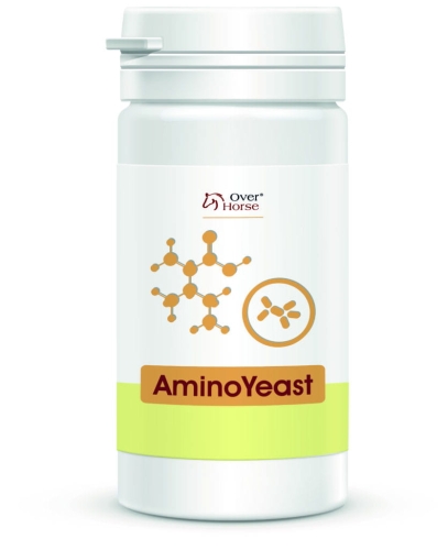 wizualizacja_Amino_Yeast-835x1024.jpg