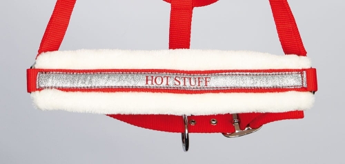 31000040_rood-2.jpg