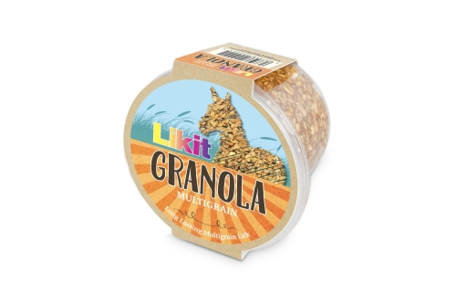 Granola-Visual-1.jpg