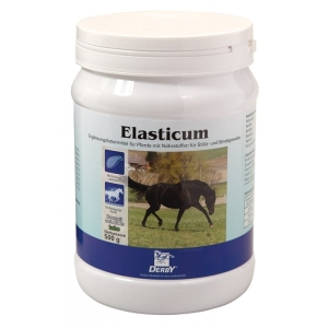 DERBY® Elasticum 500g