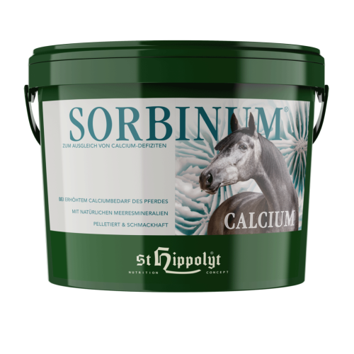 SorbinumCalcium-Eimer_1-1024x1024.png