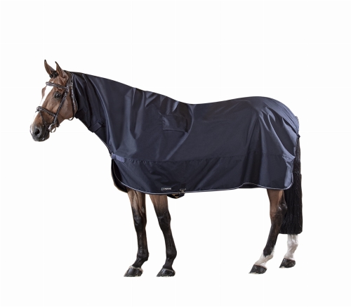 A12007_Corby_on White.jpg