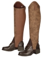 37500261_bruin.jpg