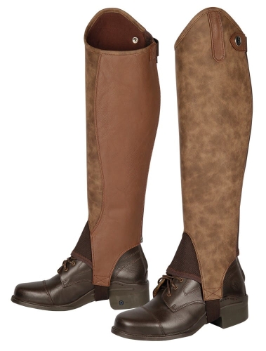 37500261_bruin.jpg
