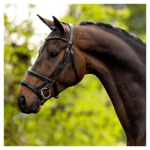 Ogłowie BR  Bath dubbele combi czarne