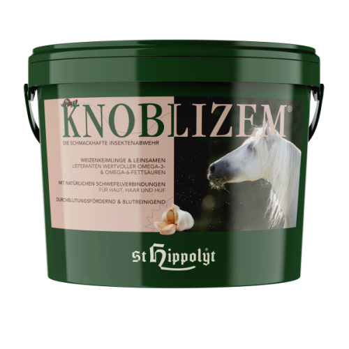 Knoblizem.png