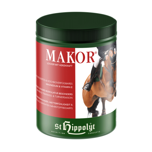 Makor.png
