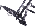 1699zw-3_5.jpg