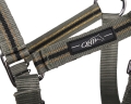 1117saf-1_3.jpg