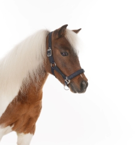 HB Kantar dla kucyków Glitter shine czarny