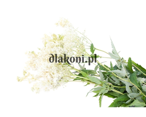 7767adc53d28e0beb8aaf6053314f941.jpg