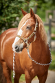 0031e973-3d5c-4243-88ff-76a60506cd98.png