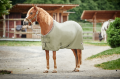 b383fed6-631e-4530-bab2-1ba943a013fb.png