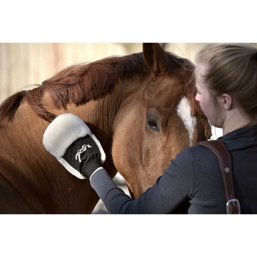 gant-de-pansage (2).jpg