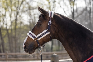 Kantar z futerkiem HKM Style Equine Sports Navy