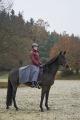 178053_Anwendungsbild_3225159.jpg