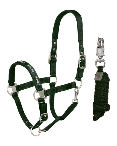 halfterlhyondarkforest (1).jpg