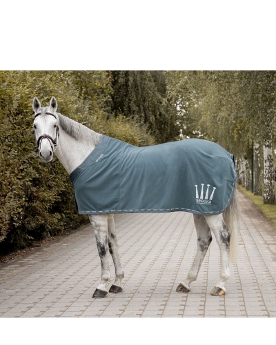 blanketlhyondovebluejpg (1).jpg