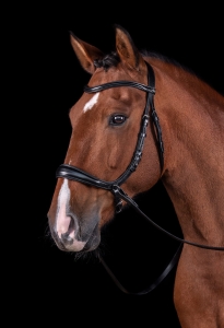 Schockemohle Ogłowie anatomiczne 3w1 EQUITUS THETA