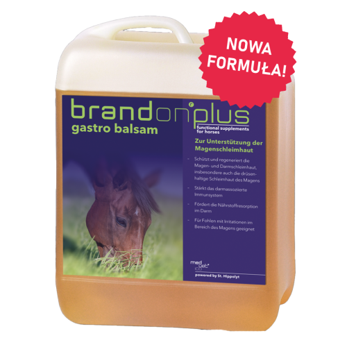 Gastro-Balsam-Nowa-Fromula-1024x1024.png