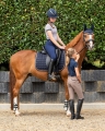 8713na-5.jpg