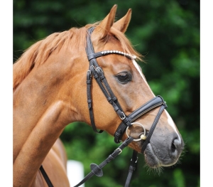 Ogłowie wegańskie Kavalkade Cortica POWYSTAWOWE 