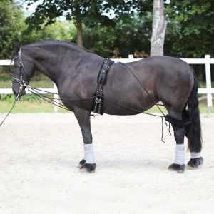 Zestaw treningowy York do lonżowania