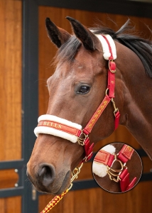 Harry's Horse Kantar z uwiązem Jingle Bells