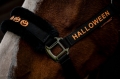 Kantar Halloween - 04.jpg