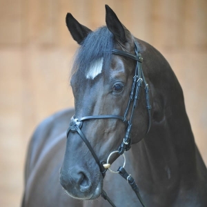 KAVALKADE ECOLINE OGŁOWIE PEDRO