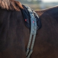 imperial-riding_lo40122000-6036_sage-green_2.jpg