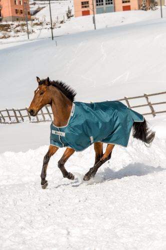 Atlantic Turnout Atlantic Green 442 441 440 P9534.jpg