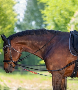 Waldhausen W-TrainRein wypinacze trójkątne