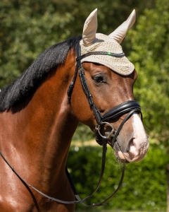 QHP Nauszniki Fading Beige