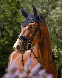 QHP Nauszniki wygłuszające Flore Navy
