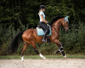 QHP ochraniacze z futrem Astana Black