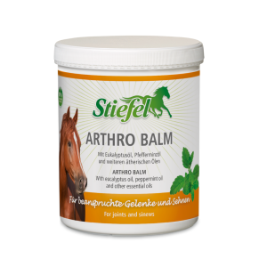 Stiefel Arthro Balm 1kg 